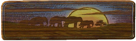 the Elephant Sanctuary in Tennessee